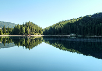 ��Ͷ�������ٵ�|�����ڿƼ����C��Ͷ��Ͷ�ʷ�Ϊ99�����